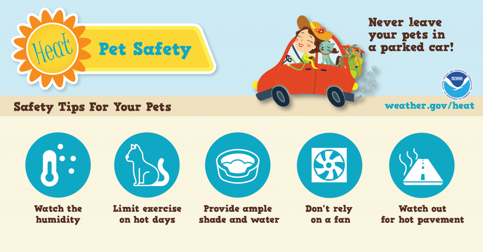 Pet Heat Safety graphic: Never leave pet in car, watch humidity, limit excercise, provide lots of water